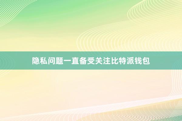 隐私问题一直备受关注比特派钱包