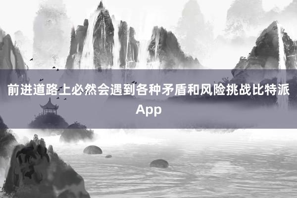 前进道路上必然会遇到各种矛盾和风险挑战比特派App