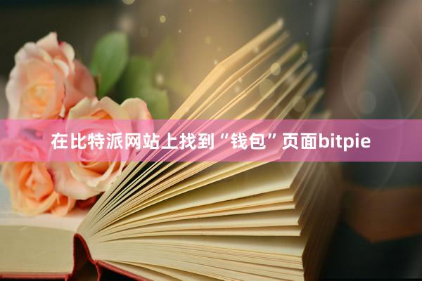 在比特派网站上找到“钱包”页面bitpie