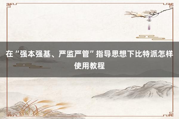 在“强本强基、严监严管”指导思想下比特派怎样使用教程