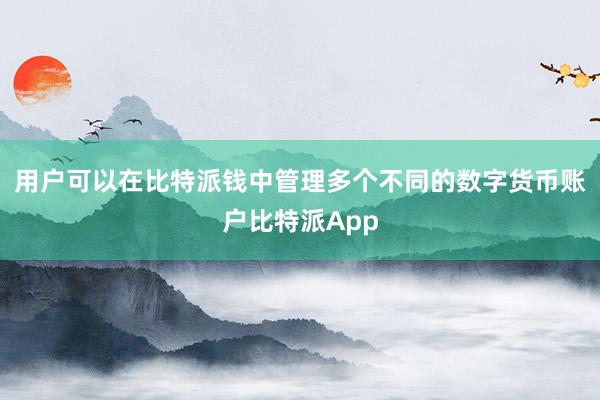 用户可以在比特派钱中管理多个不同的数字货币账户比特派App