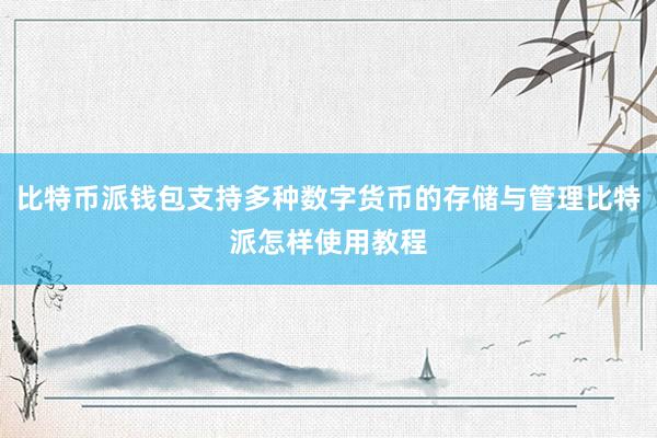 比特币派钱包支持多种数字货币的存储与管理比特派怎样使用教程