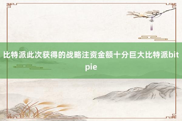 比特派此次获得的战略注资金额十分巨大比特派bitpie