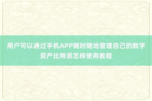 用户可以通过手机APP随时随地管理自己的数字资产比特派怎样使用教程