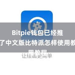 Bitpie钱包已经推出了中文版比特派怎样使用教程