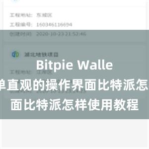 Bitpie Wallet提供了简单直观的操作界面比特派怎样使用教程