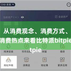 从消费观念、消费方式、消费热点来看比特派bitpie