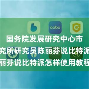 国务院发展研究中心市场经济研究所研究员陈丽芬说比特派怎样使用教程