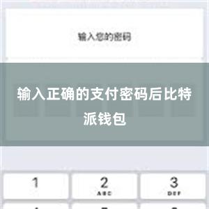 输入正确的支付密码后比特派钱包