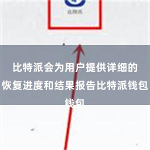 比特派会为用户提供详细的恢复进度和结果报告比特派钱包